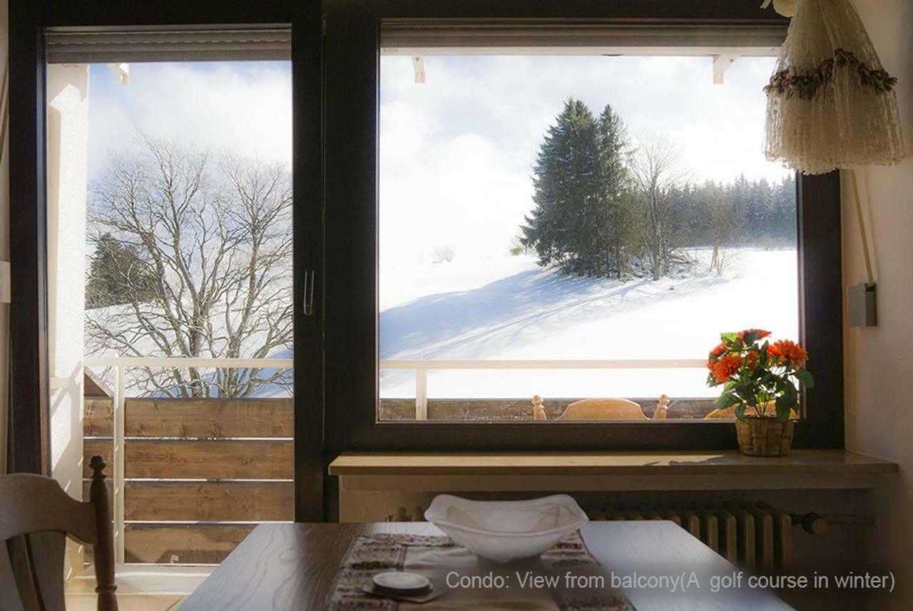 71 Square Meters Condo In Schwarzwald With Beautiful Mountain View, Free Wifi Schönwalde Exterior foto